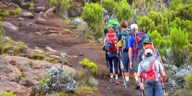 Open northern flanks of Kilimanjaro under clear sky